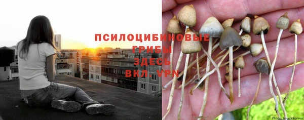 mix Арсеньев