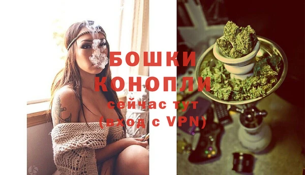 дурь Аркадак