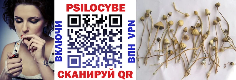 Псилоцибиновые грибы Magic Shrooms  Инза 
